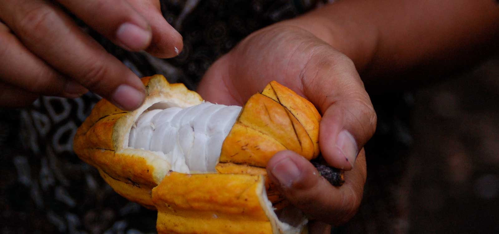 Overland East Java to Bali 1 with Meru Bethiri