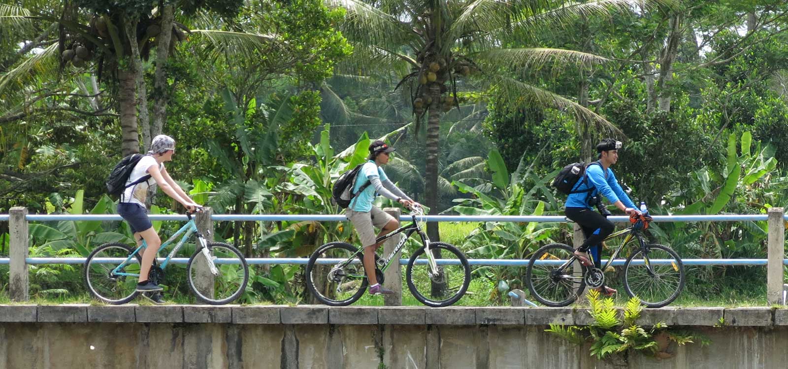 Cycle from Borobudur to Prambanan