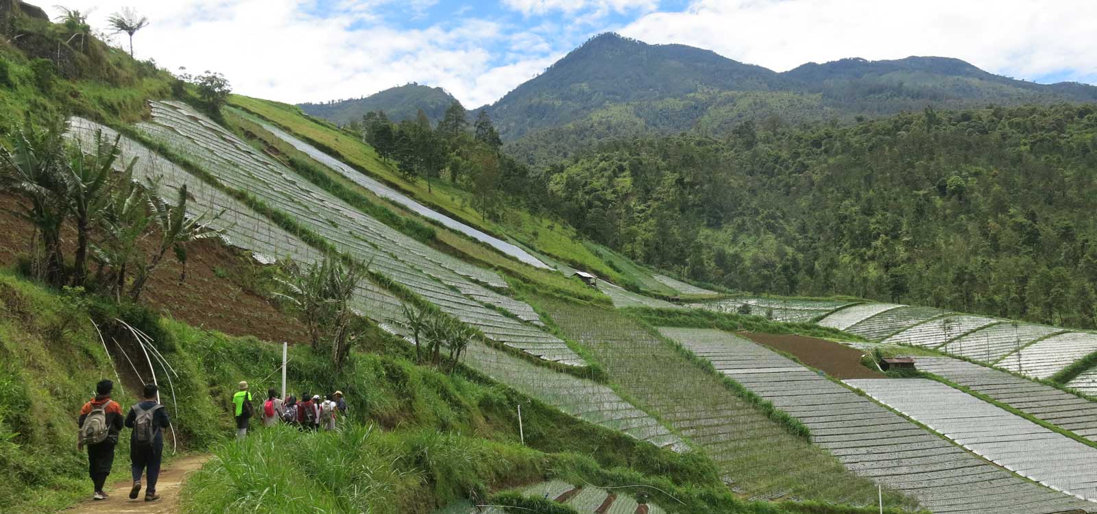 Candi Ceto and Candi Sukuh